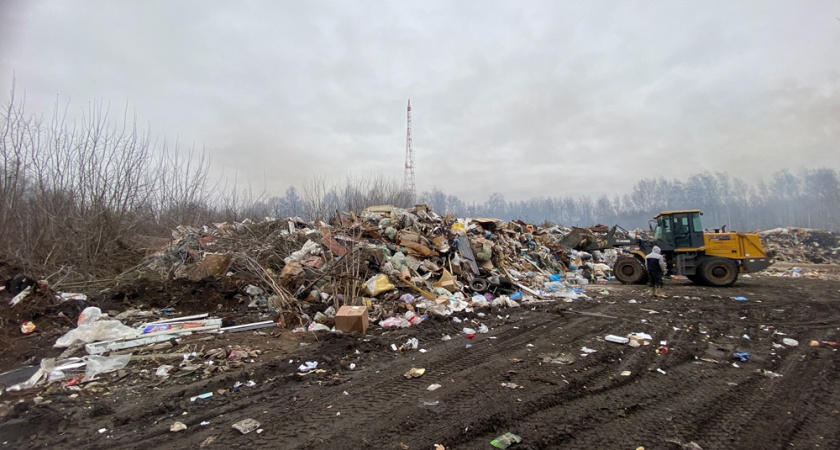 В Муроме предприятие вместо строительства мусороперерабатывающего комплекса устроило свалку на земельном участке 