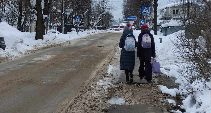 Во Владимирской области могут ввести ограничения на обучение детей мигрантов