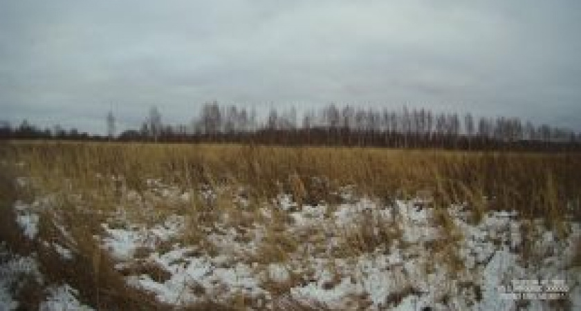 Нерадивой собственнице земельных участков площадью 449,95 га в Судогодском районе вдвое увеличили штраф
