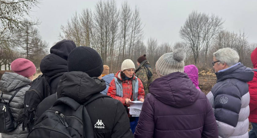 Во Владимире обсуждают благоустройство парка вокруг ДДЮТ с привлечением общественности