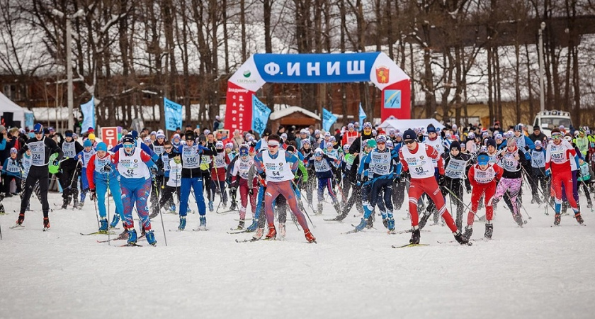 Во Владимире из-за отсутствия снега "Лыжню России" перенесли на неопределенный срок