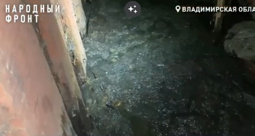 Фекальный ручей и провисшее перекрытие в подвале: активисты ОНФ во Владимире озабочены проблемами дома во Владимире