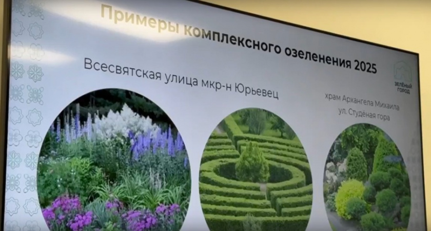 Во Владимире в этом году планируют высадить до 1 млн зеленых насаждений