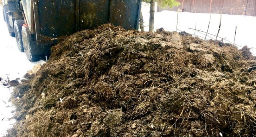 На землях племзавода в Суздальском районе обнаружена свалка площадью 4602 кв.м и навалы навоза