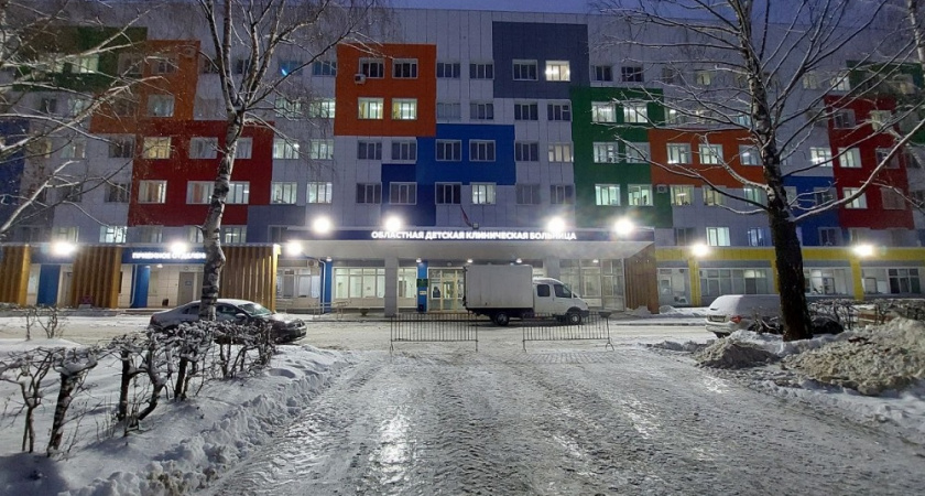 Во Владимире девочка играла со стеблем с шипами и повредила себе глаз 