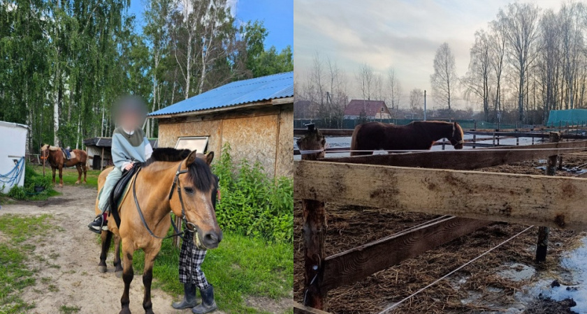  В Киржачском районе осудят хозяйку конного центра за травму 10-летней девочки 