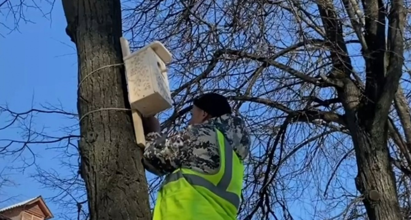 Владимирские школьники построили новые дома для птиц