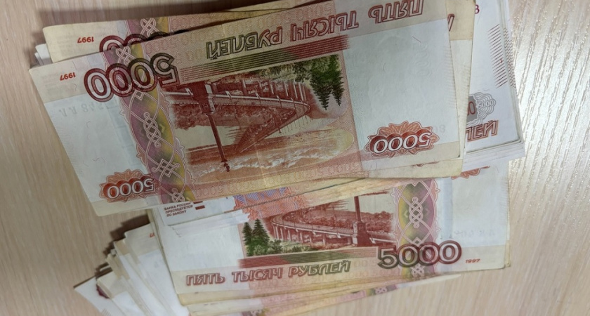 В Петушинском районе осудили экс-председателя СНТ за хищение почти 2 миллионов 