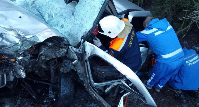Во Владимирской области в ДТП на трассе пострадали 3 взрослых и 2 ребенка