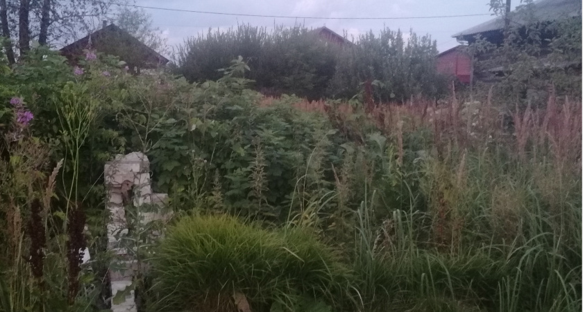 Во Владимирской области многодетная семья получила земельный участок без дороги