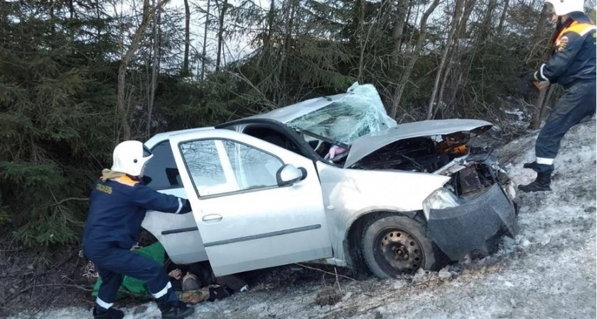 В Судогодском районе после ДТП с 5-ю пострадавшими завели уголовное дело