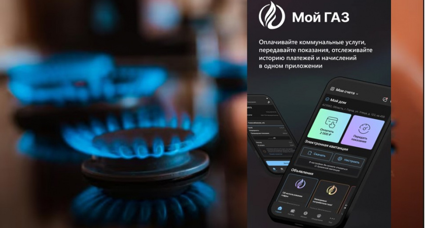 Владимирских пользователей сервиса «Мой ГАЗ» предупредили об атаках мошенников