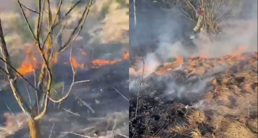 В Коврове загорелась сухая трава 