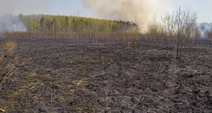 В Камешковском районе спасатели оперативно потушили загоревшуюся траву