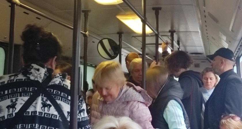 Эти 5 привычек в автобусах и троллейбусах характеризуют вас не с лучшей стороны - что говорят эксперты