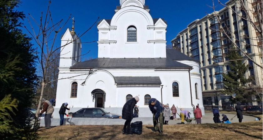 Фото к статье: Во Владимире пошёл «досрочный» городской субботник
