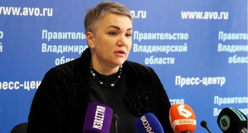 Фото к статье: Бизнесу Владимирской области выделят 347 млн рублей поддержки в 2025 году