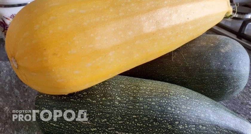 Фото к статье: Секрет опытных дачников: какие растения категорически нельзя сажать рядом с кабачками - лишитесь урожая