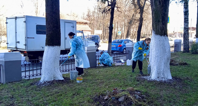 Студенты-волонтеры продолжают участие в акции "Молодежь для врачей региона"