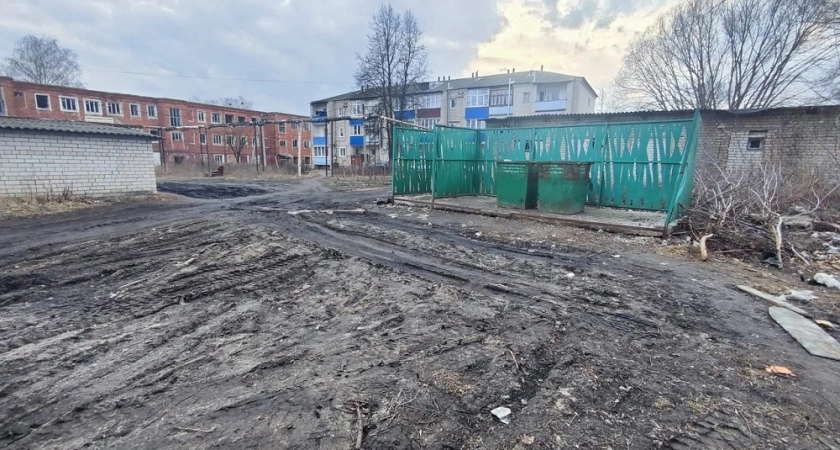 Фото к статье: В Меленках прокуратура через суд требует от администрации решения мусорной проблемы