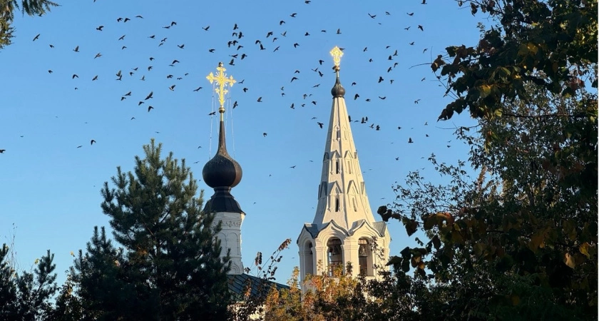 Фото к статье: В Суздале состоятся пасхальные песнопения византийской традиции