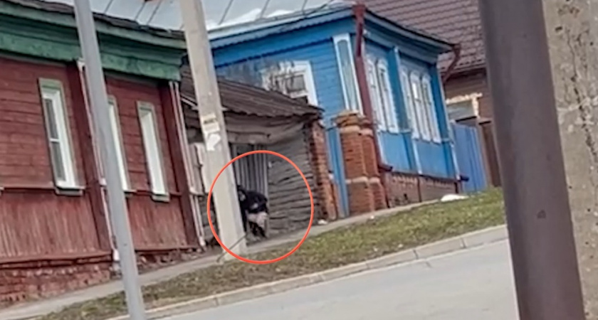 Жительницу Владимира задержали за организацию закладок в Суздале