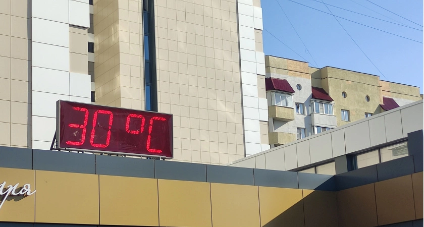 Фото к статье: Во Владимирской области ожидается аномальная жара до 22 апреля