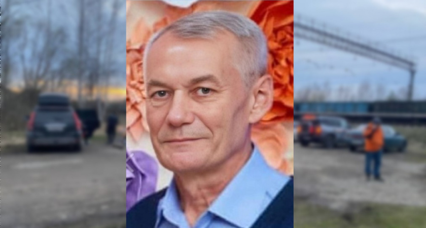 Во Владимирской области ведут проверку информации о пропавшем в лесу 67-летнем мужчине