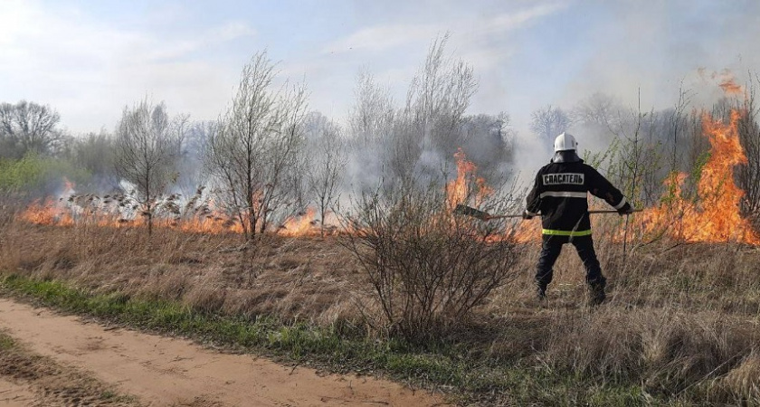 Под Владимиром пожарные тушили возгорание сухой травы