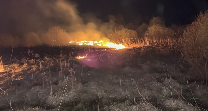 Во Владимирской области спасатели ликвидировали пал травы площадью 30 гектаров