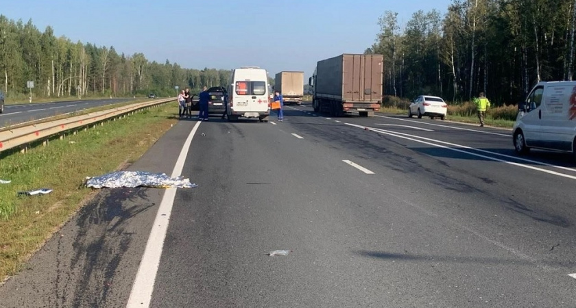 В Судогодском районе вынесли приговор водителю, который насмерть сбил женщину