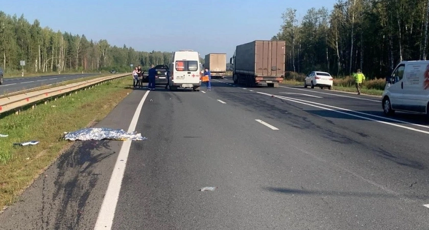 Фото к статье: В Судогодском районе вынесли приговор водителю, который насмерть сбил женщину