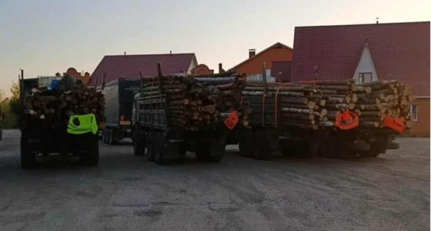 Владимирская область передала строительный лес бойцам