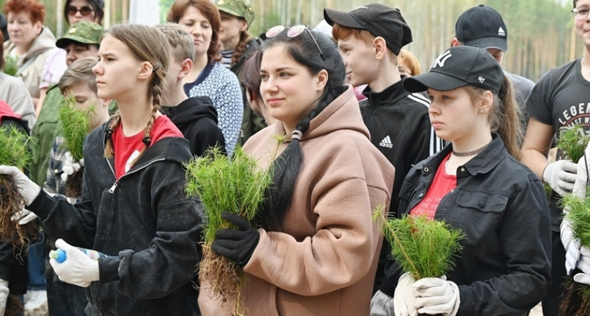 В Курловском лесничестве Гусь-Хрустального района посадили «Сад Памяти»