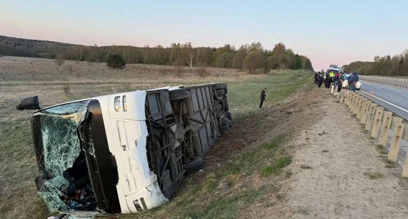 Фото к статье: В Александровском районе 35 человек пострадали в ДТП с экскурсионным автобусом