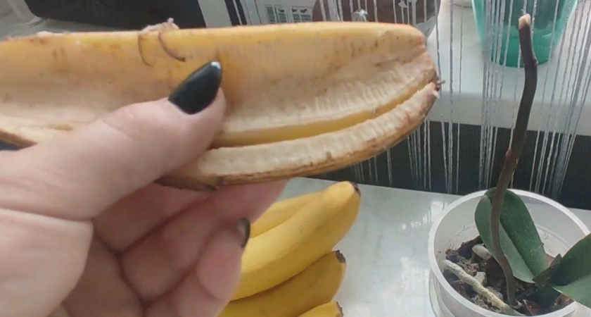 От удобрения до косметики: 5 неожиданных способов применения банановой кожуры - не мусор, а настоящее сокровище