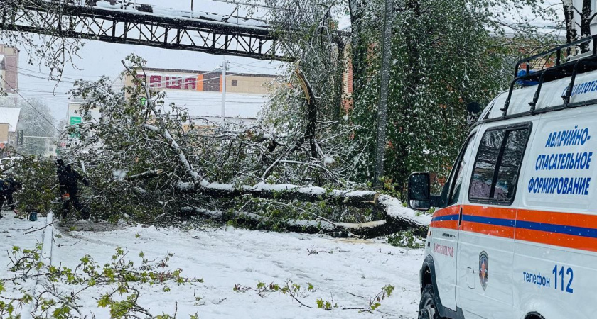 Прокуратура взяла на контроль восстановление электроснабжения и водоснабжения в Александровском районе