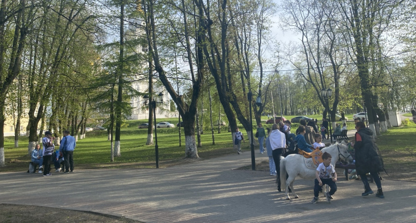 Дьявольская жара и ливни: метеорологи пообещали россиянам аномальное лето - прогноз на июнь, июль и август