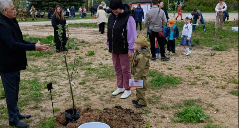 Фото к статье: В честь 80-летия Великой Победы в Селивановском районе посадили яблоневый сад