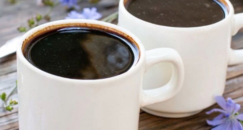 "Не бодрит, а лечит": какой вид цикория сохраняет максимум пользы - врачи раскрыли правду