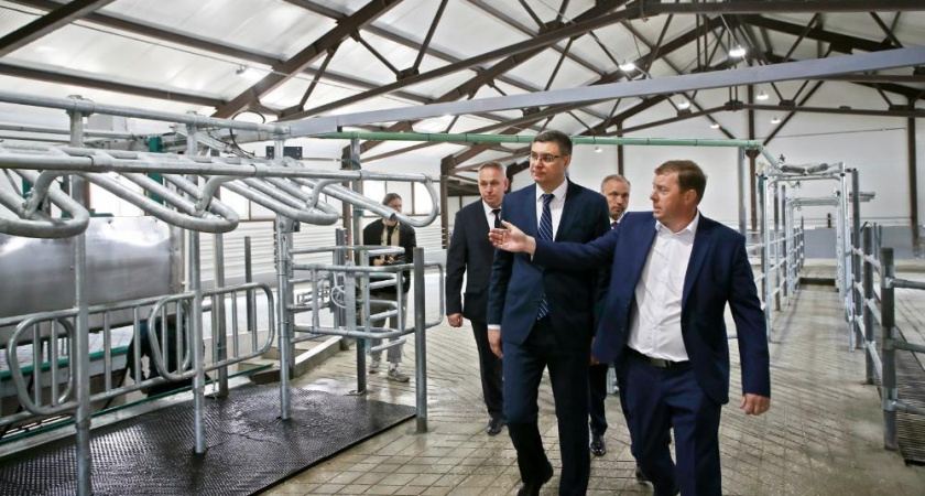 Губернатор оценил успехи сельского хозяйства и промышленности в Судогодском районе