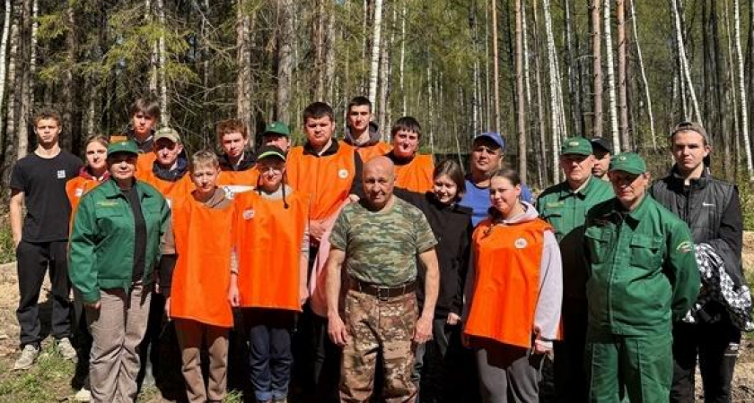 Во Владимирской области в рамках акции «Сад памяти» высажены сосны и ели