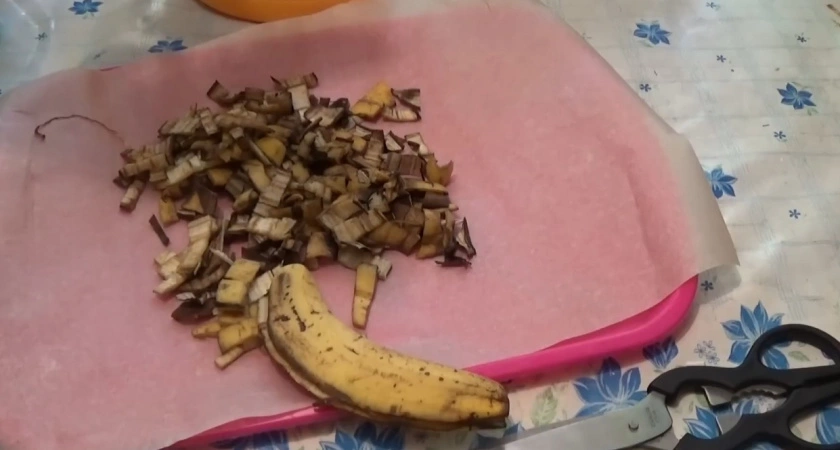 Почему мои растения растут как на дрожжах: делюсь банановым лайфхаком - делаем мощное удобрение за 3 шага