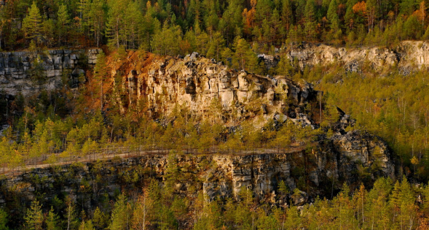 На владимирской конференции обсудят развитие особо охраняемых природных территорий