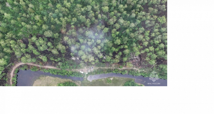 Во Владимирской области начались торфяные пожары