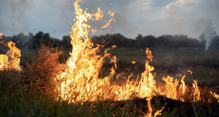 Во Владимирской области в ближайшие дни сохранится высокая пожароопасность
