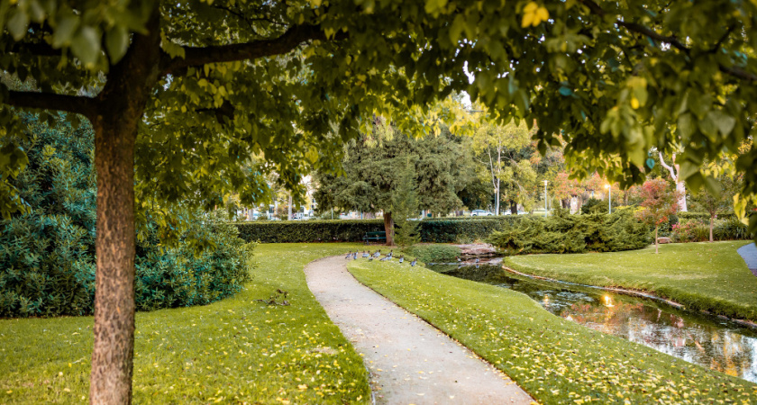 Во Владимире утвердили план реконструкции прудов у ДДЮТ