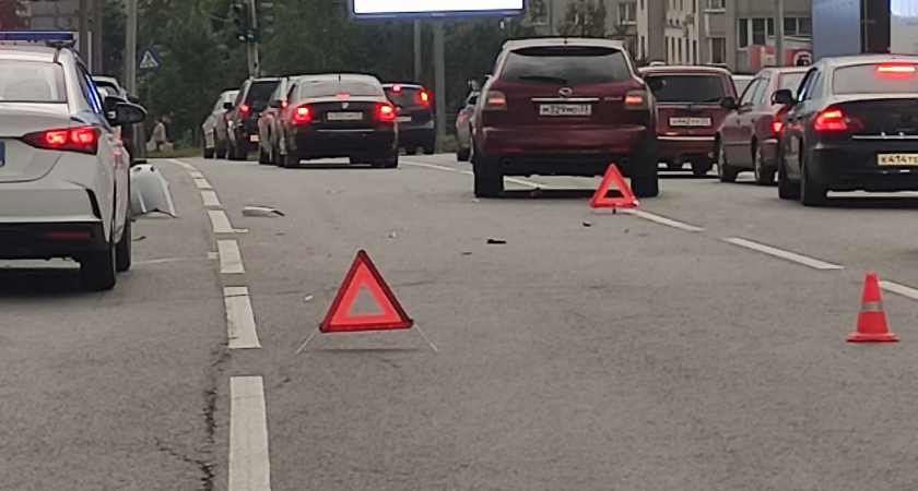 Во Владимирской области случилось 2 ДТП за сутки с лосями