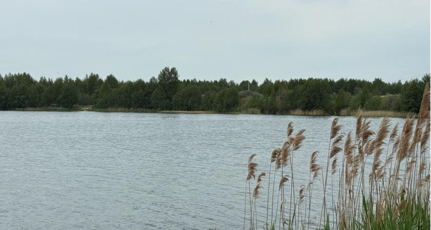 Во Владимире и Ковровском районе помогли очистить водоёмы дайверы