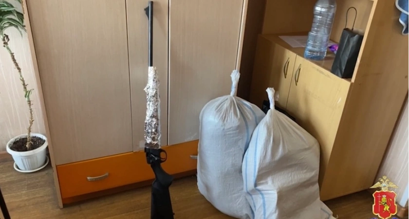 41-летний ковровчанин застрелил двух лосей в лесу